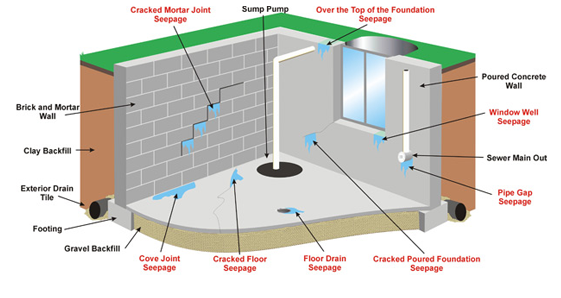 Project Image 1