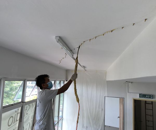 Project Image 1